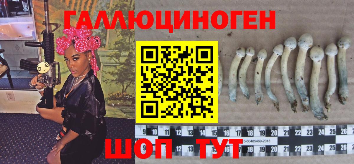 Псилоцибиновые грибы Psilocybe Моршанск