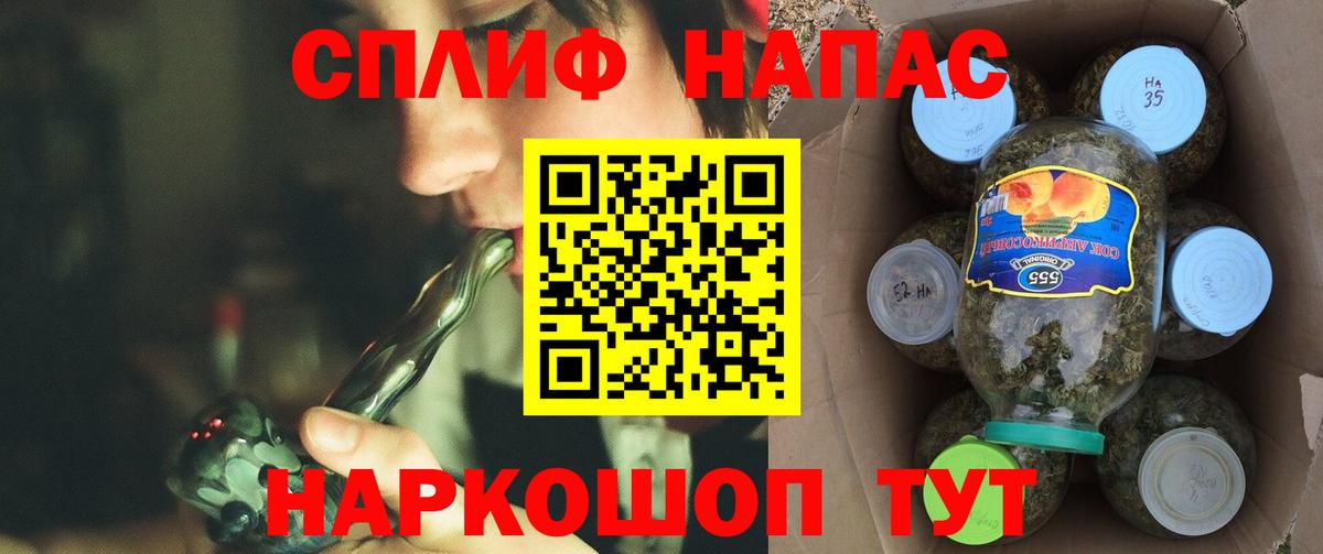 Канабис сатива Моршанск